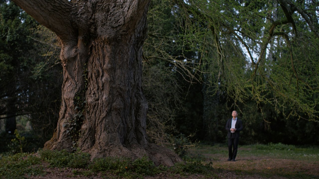 Silent Friend Movie Screenshot 1